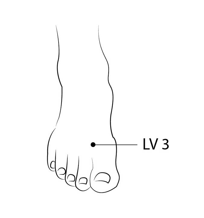 LV3 acupoint diagram of foot